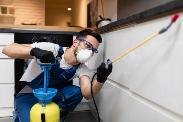 Best Pest Inspection Near Me  in Laurel Springs, NJ