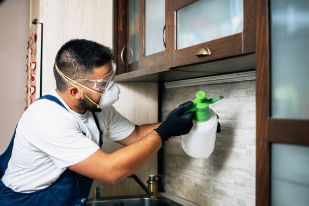 Best Pest Removal Services  in Laurel Springs, NJ