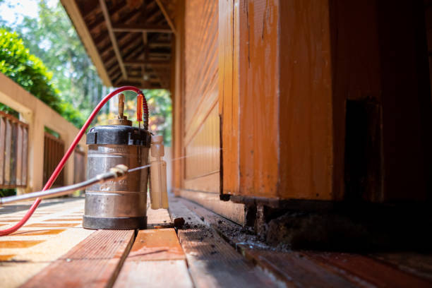 Pest Prevention Services in Laurel Springs, NJ
