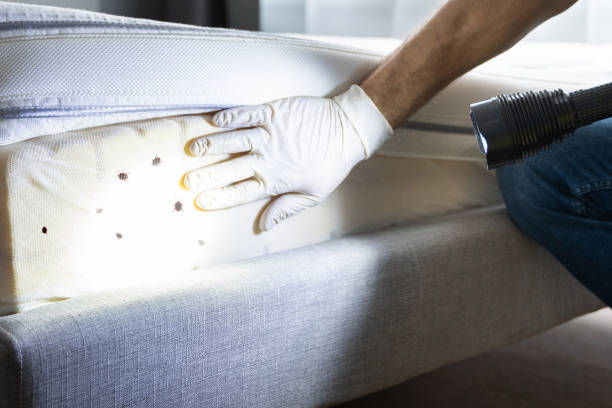Best Commercial Pest Control Services  in Laurel Springs, NJ